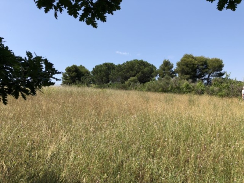 ouverture mur porteur copropriété